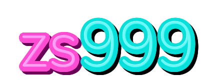 zs999 — logo kanal